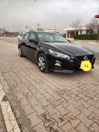 التيما ٢٠١٩ • بلا بوية • السليمانية