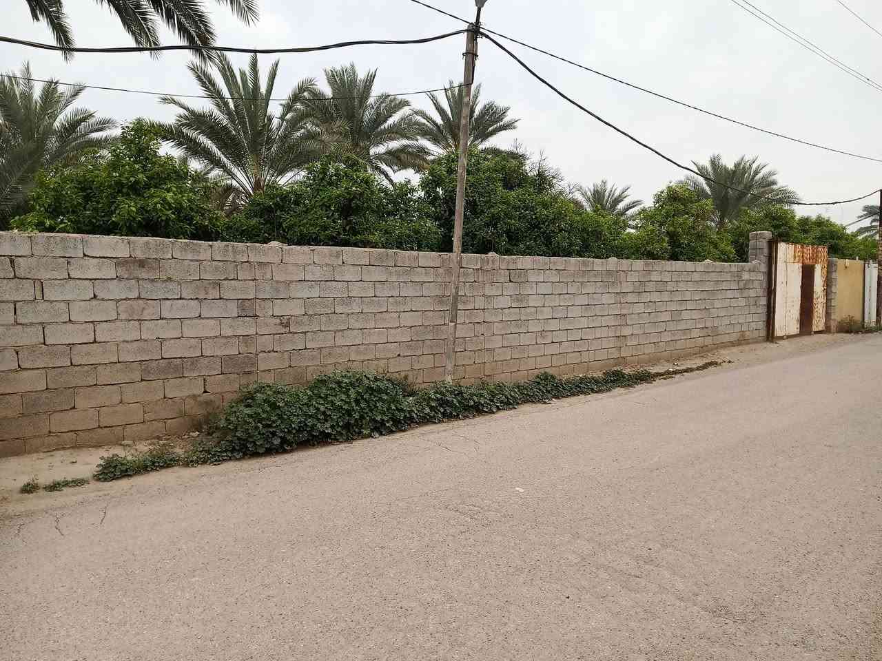 السلام عليكم بستان للبيع سند 25 المساحه 1500 متر على ضفاف نهر دجلة الموقع ديالى ناحيه جديده الشط السعر 500 مليون قابل للتفاوض التواصل الاتصال على الرقم ***********
