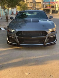 موستانغ • ٢٠٢٣ • شيلبي