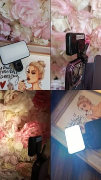 ديكور • حديقه • توصيل