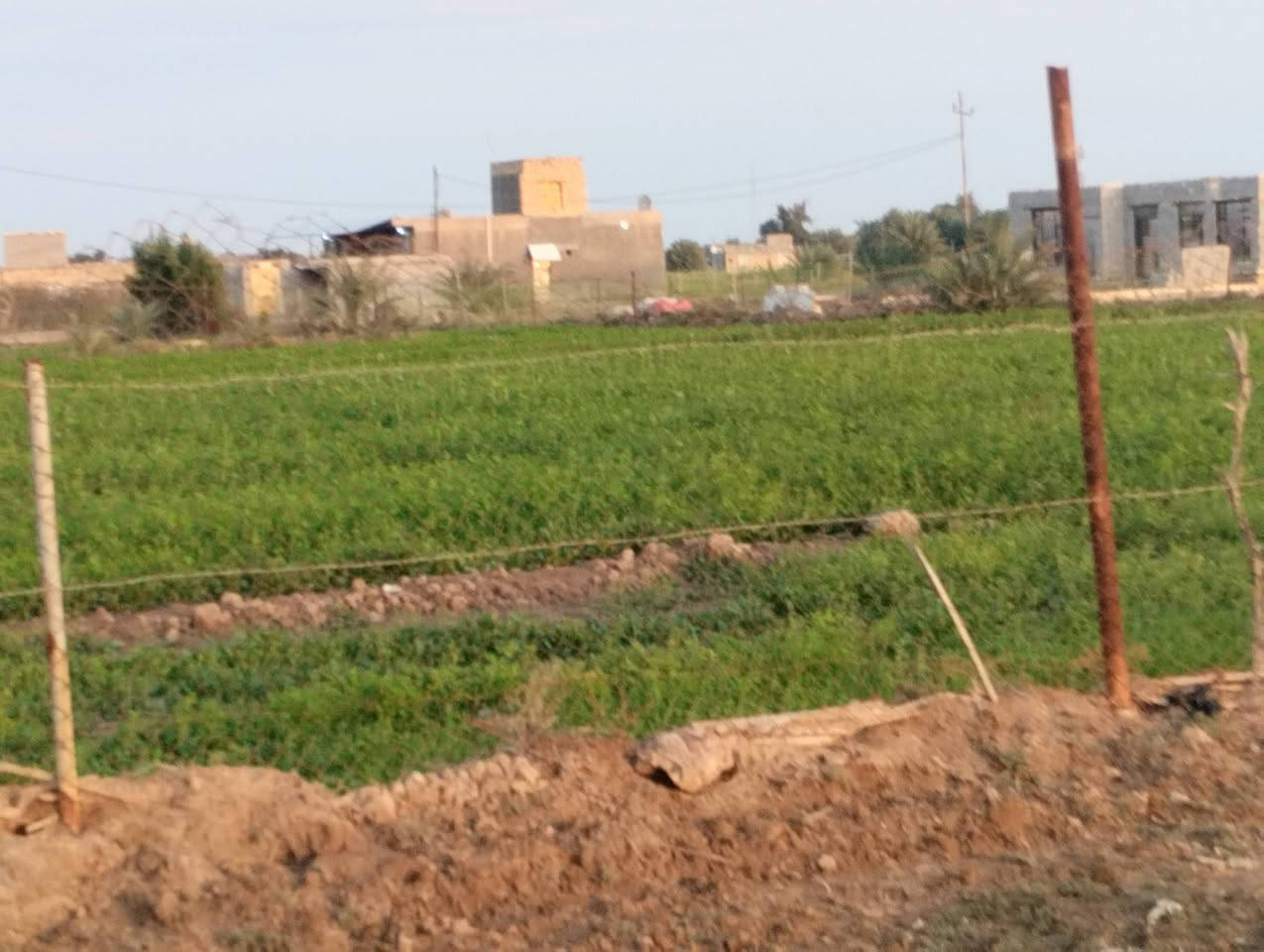 بسم الله الرحمن الرحيم 
كاع دونيمين700متر للبيع 
صوب بني ركاب طريق سعيدان 
خلف الحامع 
على الشارع التبليط 
خدمات موجود كهرباء 
ومي اساله ومي سقي من سعيدان 
الكاع زراعيه
السعر وباقي التفاصيل 
يم صاحب الكاع 
رقم صاحب الكاع ***********
او على الأرقام 
***********
***********
او مراسلة الصفحة 
#هادي_الحجيمي
