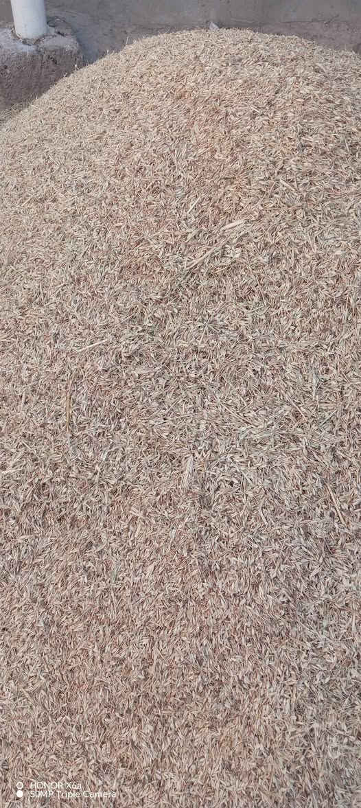 السلام عليكم اخوان عندي راجع للبيع المكان واسط النعمانيه الشراي يجي خاص اويتصل على الرقم ***********
