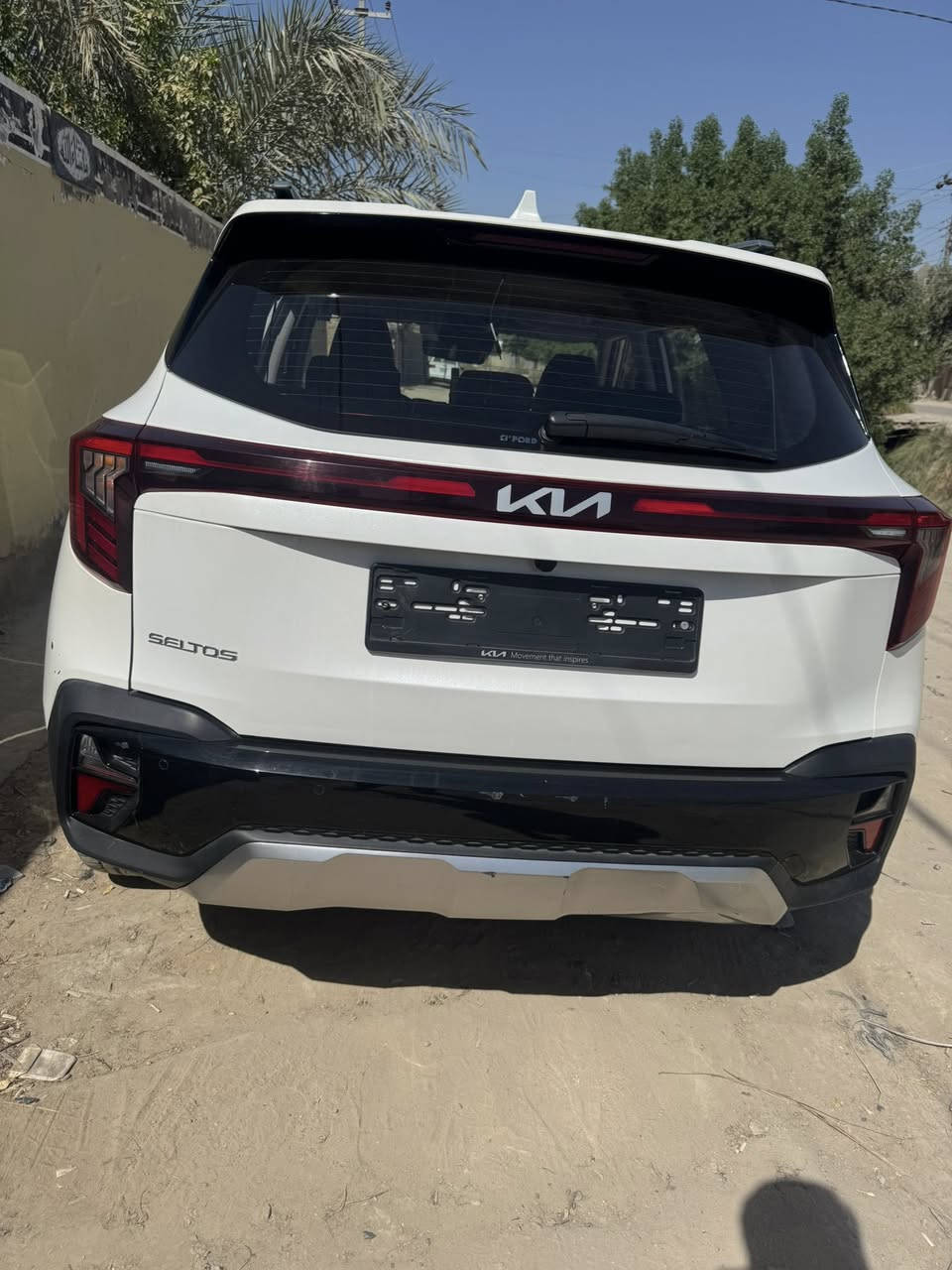 السلام عليكم سليتوس البيع 2024المكان بابل ***********
