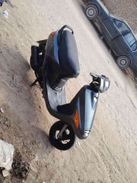 فراشه نثيه • جاهزه • ديوانيه جلبيه