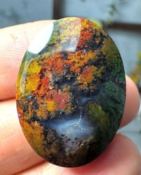 عقيق طحلبي • طبيعي • ٤ قطع