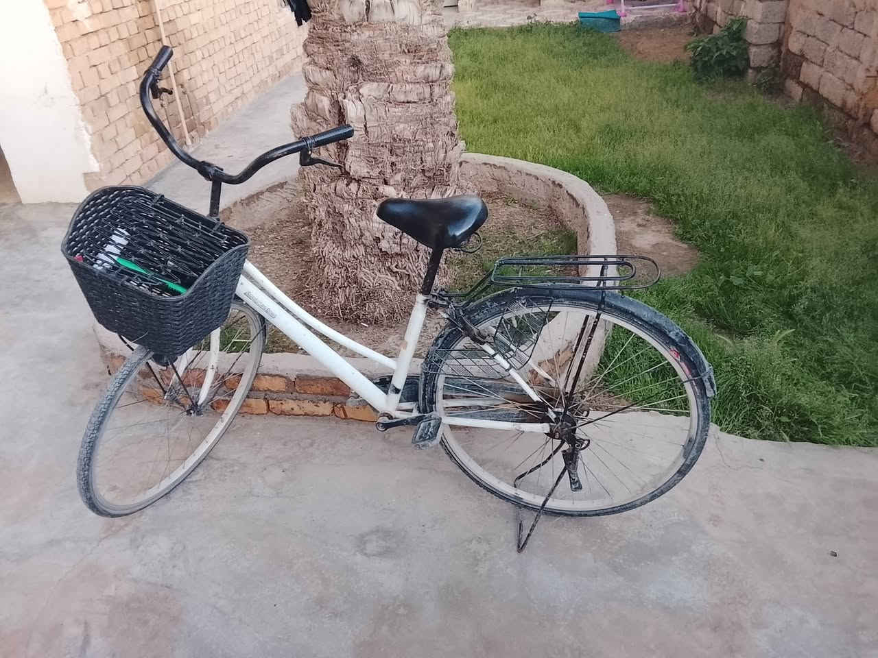 السلام عليكم ورحمه الله 

باسكل حجم 26 حيل نضيف 
تواير جدد سله وسيبايه جديدات.   .ناقصه بس بريكات 
سعره 60 مكاني تكريت القادسيه 
***********
