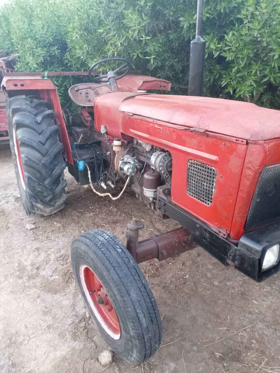 السلام عليكم عنتر للبيع موديل ٨٧ رقم الهاتف ***********
