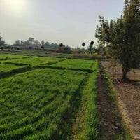 الكفل الشهابية • ارض شاطي • ٢ دونم