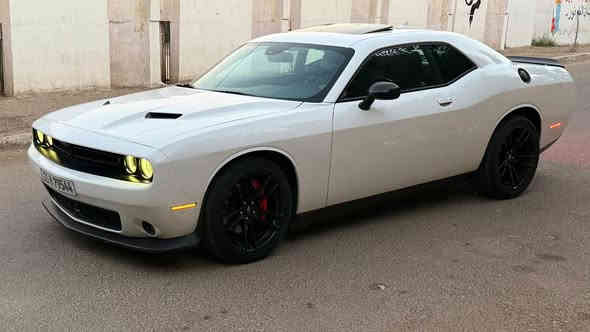 جالنجر sxt plus مكفولة من الحادث و الضرر و التبديل والغرق موديل ٢٠١٨
و بدون اي ايرباك السيارة

بيها بارد كم مكان وصبغ على كد شبر من بالجاملغ الخلفي جهة الراكب

فول مواصفات :

رادار امامي (مثبت سرعة متفاعل ) وتحذير تصادم رادار جانبي (نقطة عمياء )

رادار خلفي

حساس خلفي

فتحة سقف

بصمة تشغيل + تشغيل عن بعد سستم سماعات هارمن كاردن مُحيطية

كشنات جلد

كشنات كهرباء

ندفئة تبريد كشنات

تدفئة ستيرن

ستيرن تحكم كهربائي

زنون - عالي ناصي - كشافات

شاشة جبيرة ابل كار بلي

مكفولة من اي نقص

ادامة كاملة للسيارة من منظومة البانزين و التيارات و الصدر وكالة اصلي ماشية 101 الف مايل

السعر١٨٩

مكان السيارة الصليخ ال٦٠٠

***********
