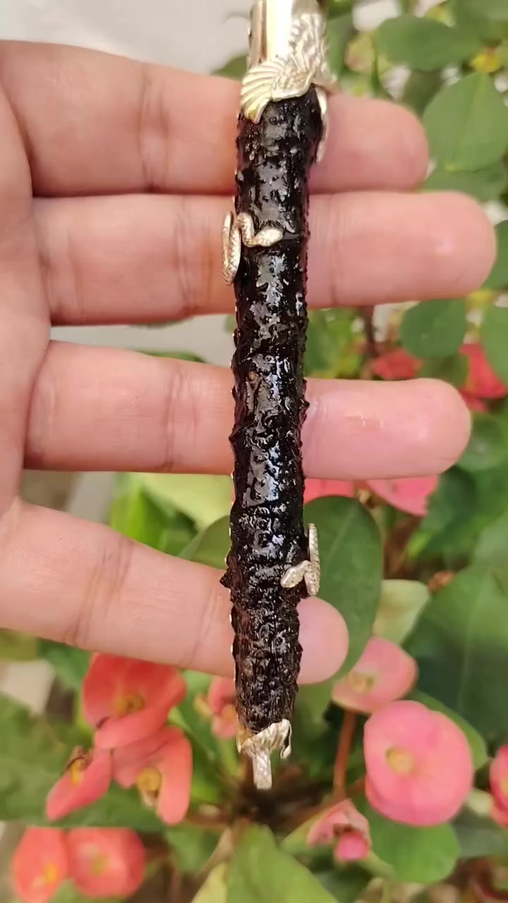 السلام عليكم /عرج سويحلي بركاني
مصيوغ فضه الف
يوجد توصيل لجميعً المحافضات
***********واتس
