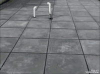 تطبيك كافة الصسطوح والدوار الحكومه بسعار متميزه  حسب طلب الزبون
فلانكوت اماراتي زفت الدورة ماستك الدورة نايلون زراعي عمل شرط استلام مهندس***********//***********
