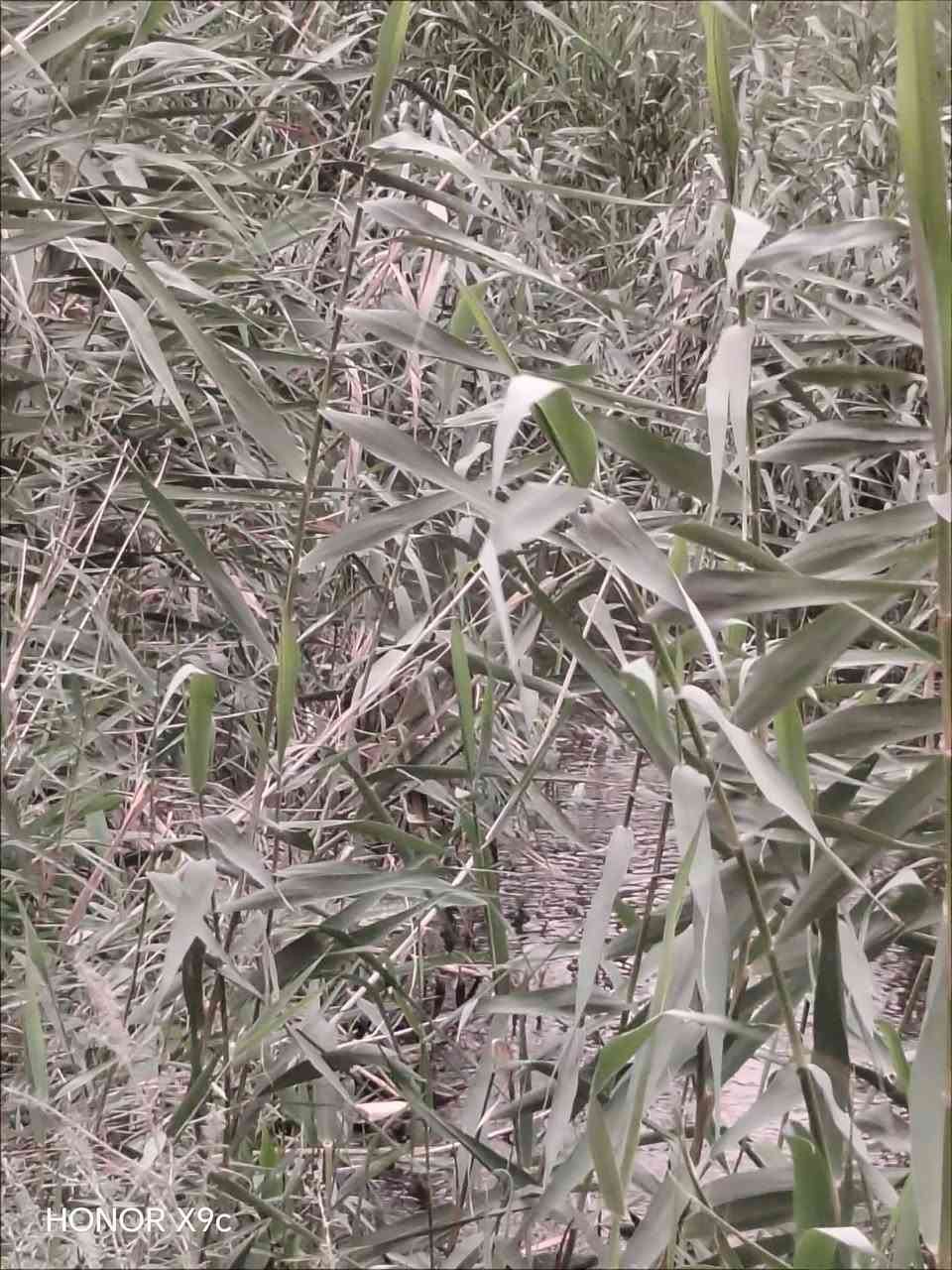 السلام عليكم
ارض زراعيه منطقة البركات على نهر الغازي تبعد عن الشارع العام 2 كيلو متر دونم ونص طابو زراعي سند ٢٥ والباقي ١٠ دونم عقد زراعي ماء اساله +كهرباء للاستفسار الاتصال على الأرقام  - *********** - *********** واتساب
