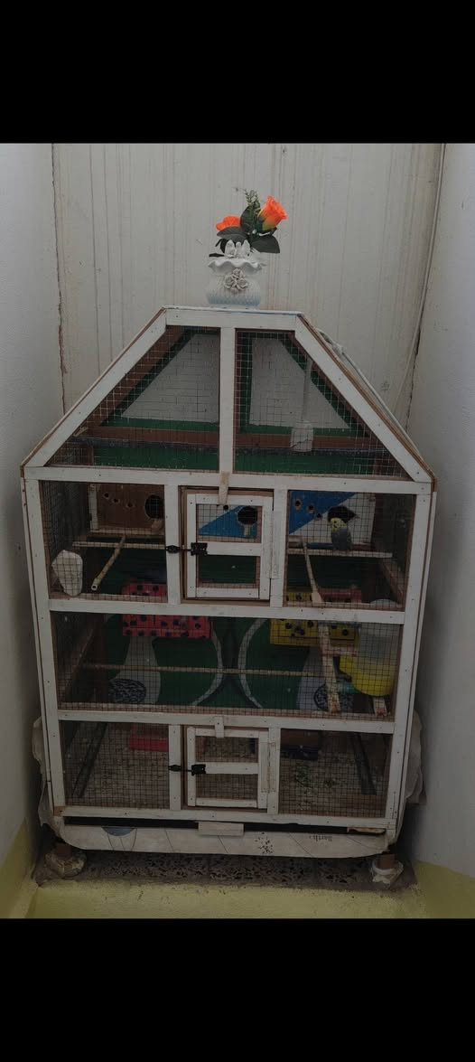 قفص شغل ثقيل للبيع


**إذا كنت صاحب هذا الإعلان وتريد حذفه لأي سبب، رجاءا أرسل رسالة إلى الدعم الفني**