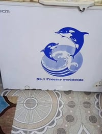 مجمدة • للبيع
