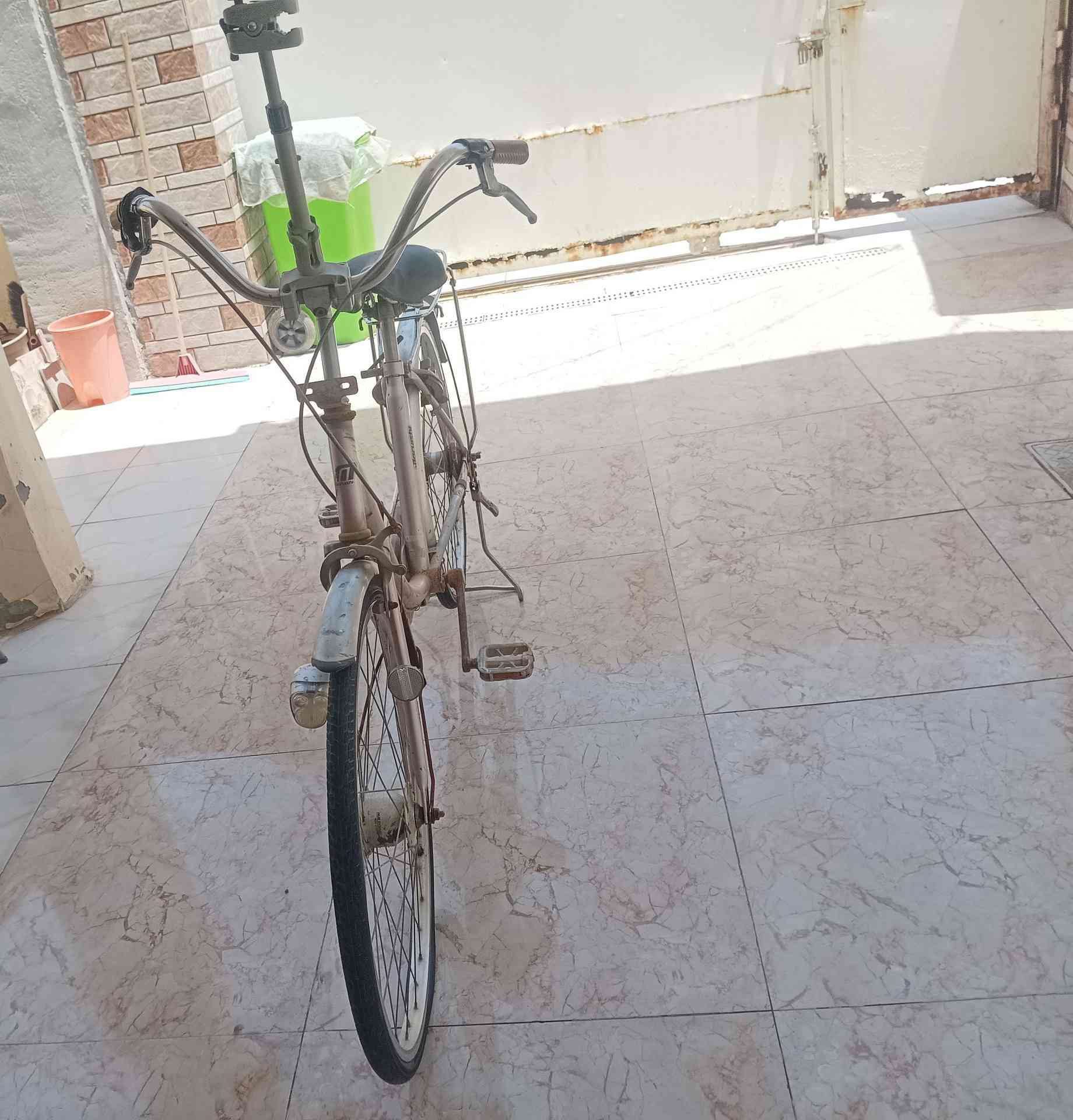 بايسكل بطه ياباني للبيع السعر 55


**إذا كنت صاحب هذا الإعلان وتريد حذفه لأي سبب، رجاءا أرسل رسالة إلى الدعم الفني**