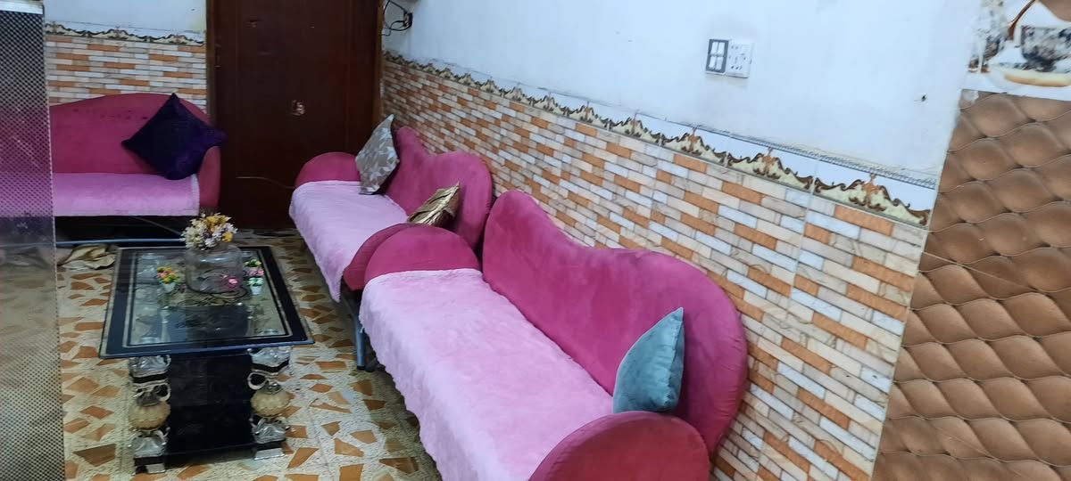 البيع تخم اصلي أوربي عنوان ميسان عماره اتصل واتساب موجود بالخدمة 《***********》 عمارة, ميسان
