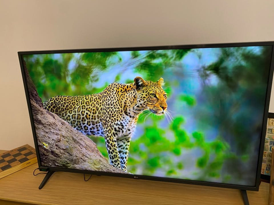 شاشة LG 50 بوصة 4K سمارت نظيف جدا مع الريموت و الكيبل
للبيع ب 400 الف


**إذا كنت صاحب هذا الإعلان وتريد حذفه لأي سبب، رجاءا أرسل رسالة إلى الدعم الفني**
