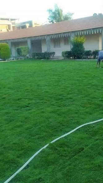 توصيل مجاني لجميع المحافظة سعر حسب الكمية والمكان ***********او‏‪***********‬‏
