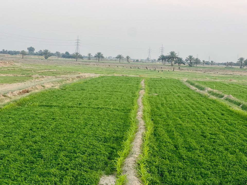 سلام عليكم ارض زراعيه للبيع 
المساحه 11 دونم متوفر كافت الخدمات 
العنوان طريق كربلاء نجف ام نجعه عمود 301
استفسار اكثر  ‭0783 885 1910‬
