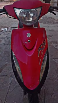 ماكس • بوشة ٤٩ • ماملعوب