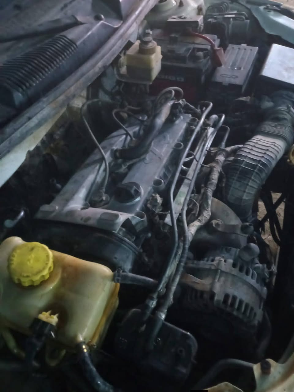 فيتريه سيد مرتضى
لتجفيت كافة أنواع السيارات 
بانزيخانة الشموس مجاور العيساوي ابو سيراميك 
*********** 
تم تبديل كازكت شيري A3تبديل ولفات ولاستيك ولف مع غسل وكراين
