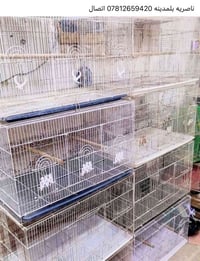 خانات كبار • ناصريه بلمدينه