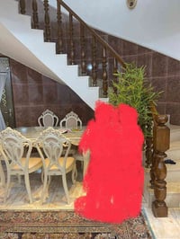 عرانيص • ٥٥ قطعة • الشعب حي التجار