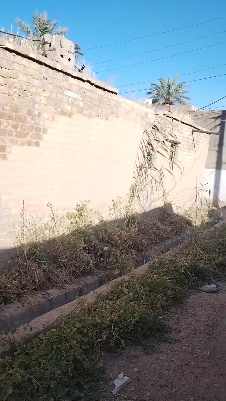 بيت زراعي قديم لبيع منطقة الحساوية ٢٥٠متر ابيعه قطعه أرض السعر ١٢ مليون


**إذا كنت صاحب هذا الإعلان وتريد حذفه لأي سبب، رجاءا أرسل رسالة إلى الدعم الفني**