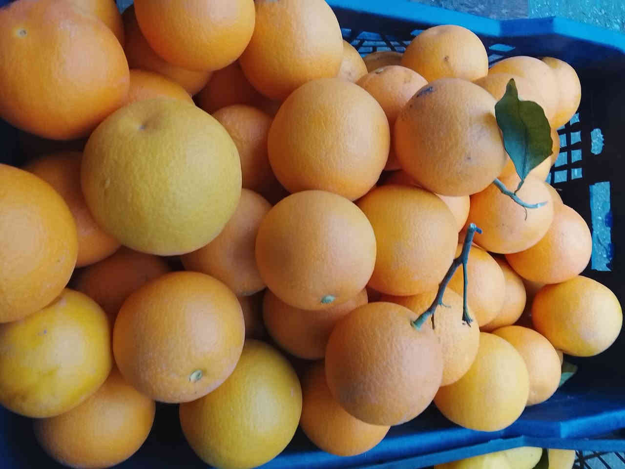 صباح الخير
توصيل داخل بعقوبة مجاني مجاني مجاني 
رقم الهاتف واتساب ***********
