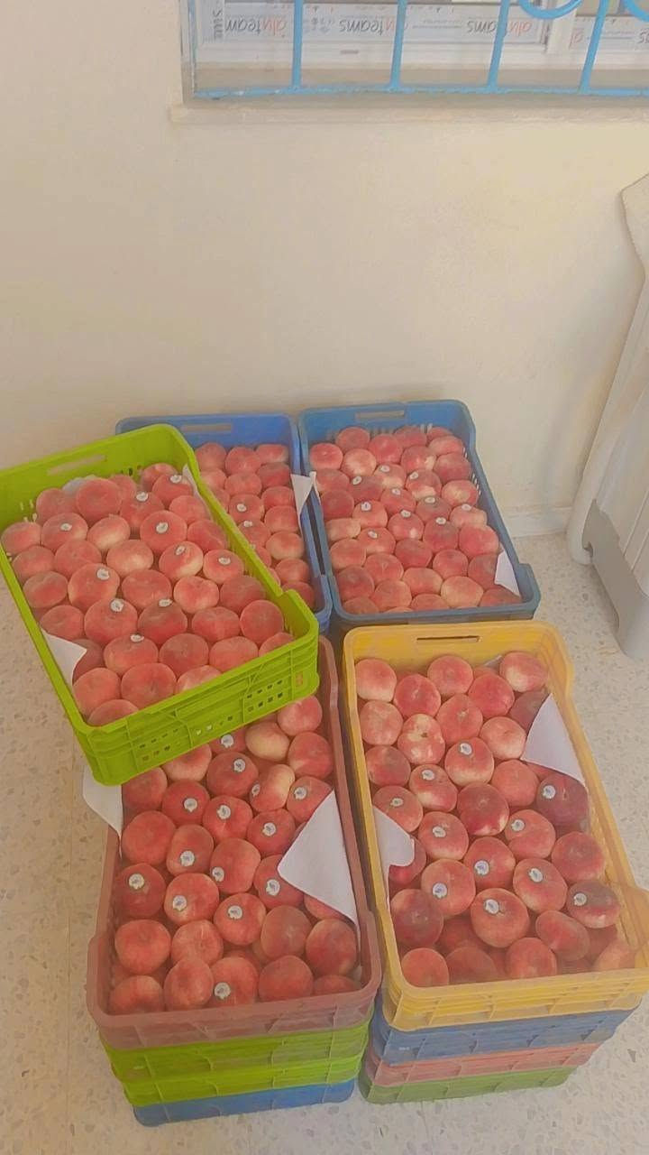بسم الله و ماشاء الله
عندك عرس 👫👫و نجاح باك .💥💥
‎خوخ بوطبقيا 🍑🍑حلو عسل 
‎لما فيه تقريبا في 60 كعبة
‎الكيلو ب 4500 
‎لما فيها ميزان تقريب5.5  كيلو 
‎تتكلف في25 دينار.......
‎ و قضية العشاء 
‎فلفل🫑🫑🌶️🌶️
‎طماطم🍅🍅🍅
‎بصل 🧅🧅🧅
‎مرحبا بناس الكل موجود في المحمدية 
‎باش اتعدي امعنا كومند على نومرو 
‎95989834 مرحبا بيكم ☺️ 
‎ تونس


**إذا كنت صاحب هذا الإعلان وتريد حذفه لأي سبب، رجاءا أرسل رسالة إلى الدعم الفني**