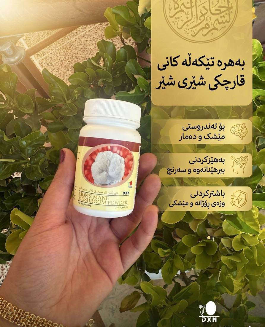 تۆزی قارچکی شێری شێر (Lion's Mane Mushroom Powder) لە براندی جیهانی DXN 🧠✨
ئەگەر بەدەست کەمبوونەوەی تەرکیز، ماندوێتی مێشک یان لەبیرچوونەوەوە دەناڵێنیت، ئەم تەواوکەرە خۆراکییە سروشتییە باشترین هاوڕێت دەبێت لە ڕۆژەکەتدا.
✨ گرنگترین سوودەکانی ئەم بەرهەمە:
• بەهێزکردنی مێشک: یارمەتیدەرێکی ناوازەیە بۆ بیر تیژی و بەرزکردنەوەی ئاستی تەرکیز (بەتایبەت بۆ خوێندکاران و فەرمانبەران).
• پارێزەری دەمارەکان: یارمەتی نوێبوونەوە و پاراستنی خانە دەمارییەکان دەدات.
• وزە و چالاکی: ماندوێتی گشتی جەستە ناهێڵێت و وزەی ڕۆژانەت زیاد دەکات.
• ئارامی دەروونی: کەمکەرەوەی دڵڕاوکێ، قەلەقی و خەمۆکی سووکە.
• کۆئەندامی هەرەس: پشتگیری تەندروستی گەدە و ڕێخۆڵە دەکات.
🌱 تایبەتمەندییەکان:
• ۱۰۰٪ سروشتی و ئۆرگانیک.
• بێ هیچ ماددەیەکی کیمیایی یان پارێزەر.
• بەکارهێنانی ئاسانە (دەکرێتە ناو ئاو، شەربەت، یان قاوە).
📥 بۆ کڕین و داواکردن: ڕاستەوخۆ نامە بۆ ماسنجر بنێرن.
🚚 گەیاندنی خێرامان هەیە بۆ هەموو شار و شارۆچکەکان. السليمانية, العراق


**إذا كنت صاحب هذا الإعلان وتريد حذفه لأي سبب، رجاءا أرسل رسالة إلى الدعم الفني**