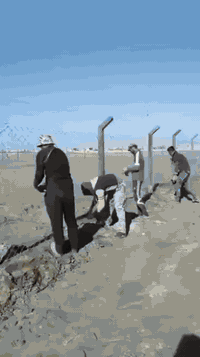 أسيجة BRC • شركة بغداد • جميع المحافظات