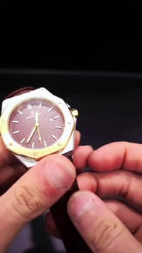 أوديمار بيجيه • سير جلد • جودة عالية