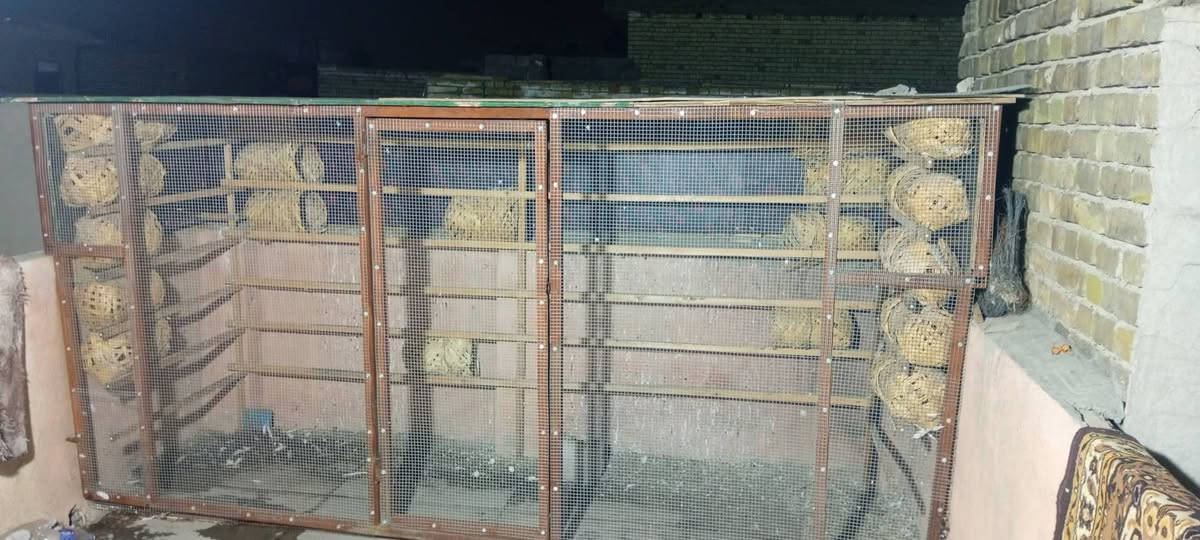 مره خصت مدير الكروب المحترم 
واجهيه العرض 3مترات ونص النزال متر ونص 
تفصال درجه اولى كلهاا ابيعهاا هيه وحلاتهاا والتاريش لله شاهد كلفتني ب600الف وهسه عارضه 250كلهاا سكف بلايود بلوك درجه اولى ترايش درجه اولى سيم بيارسي درجه اولى عارضهه ب250حديد درجه اولى بمعناا الكلام 
وهاذه رقمي *********** مكاني زعفرانيه دور الصحه الثانية
