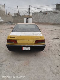 روا • ٢٠٠٩ • نجف كوفه