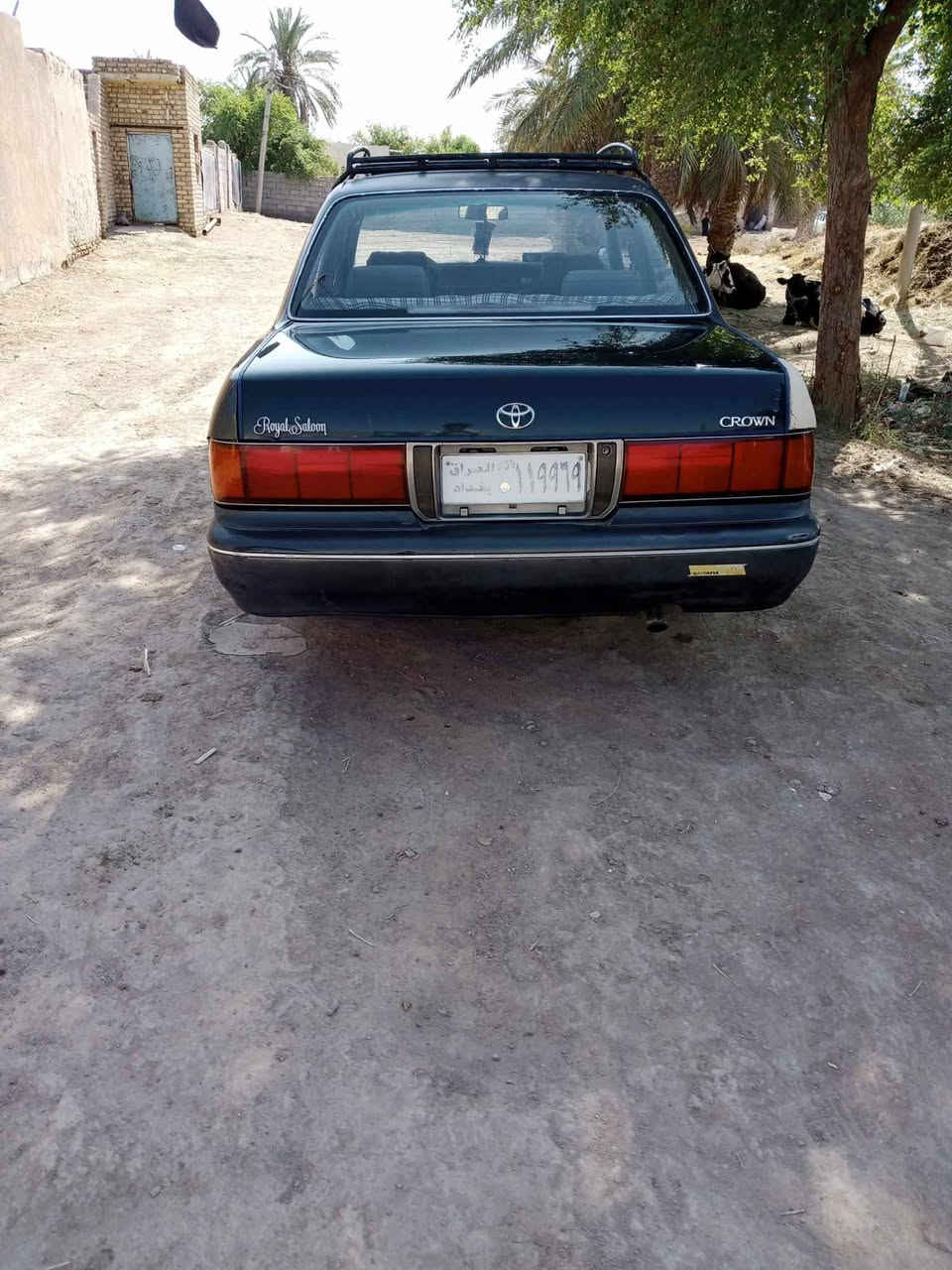 سلام عليكم
للبيع ارنب طويل موديل 95مكينه وكير ففتي كفاله رقم بغداد بسمي سنويه نافذه تحويل ثاني يوم السعر 45وبيها مجال بسيط مكان ذي قار قضاء النصر اي استفسار اتصل ع رقم ***********
