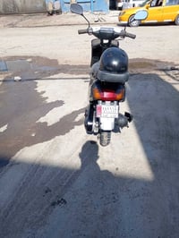 بزون شطح • مطور • شرط