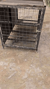 السلام عليكم قفص  طول 150//عرض 80//رتفع متر)) ميز مال مخضر طول3، عرض60، عداد 4( ***********
