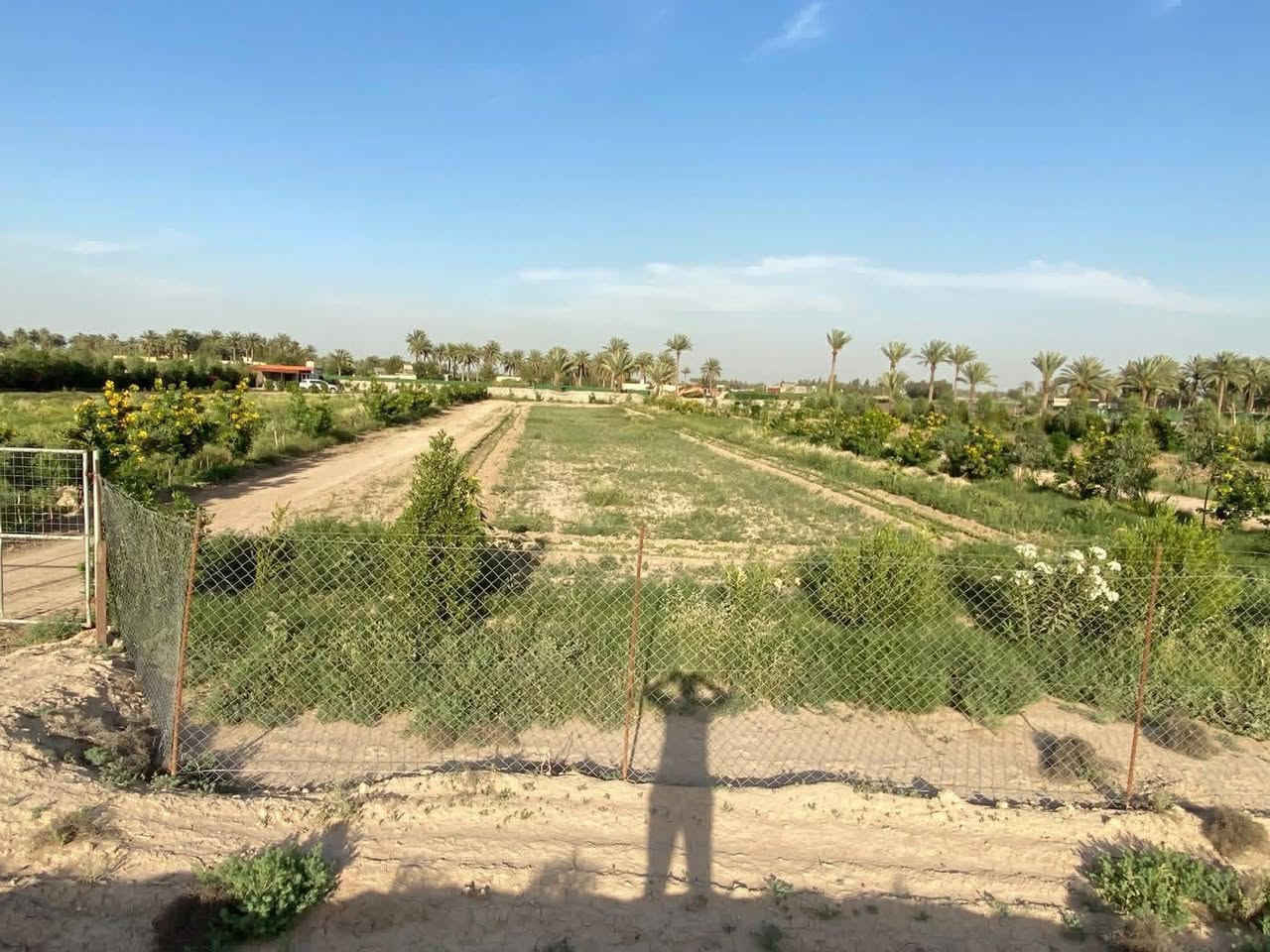 دونم طابو باسمنا في اطراف بغداد

الإتصال مباشر على صاحب السند ***********

جنس العقار/  دونم طابو زراعي سند ٢٥  باسمنا تحويل بطابو التسجيل العقاري في بغداد المحمودية

 الموقع/ بغداد اتجاه السريع الدولي القديم للجسر الرابع  بداية  دخول المنطقة شيشبار

* يبعد ٨٠٠م عن السريع العام الدولي 

* يبعد ٢٠٠م   عن مدرسة البشائر والمحلات 

* يبعد ٢٥٠ م  عن التجاري الرابط بين الدولي ومطار الصويره 

* يبعد  ربع ساعة عن جسر الطابقين والدورة   

الابعاد/ شارع ونهر من الامام *وشارع ونهر من الخلف 
 ومحدد ابعاده بواسطه مساح قانوني ملحق بكهرباء وسقي . مسيج مع باب دخول للدونم جاهز  لمزرعه او مشروع صناعي او تجاري لكونه قريب من الدولي 

الخدمات/ خط كهرباء *حصة مائية *مدارس *محلات *تبليط
