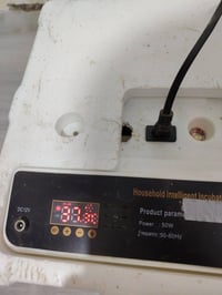 فقاسه سعه 16بيضه سعره 55بيه مجال غرض البيع ما فارق لن طالب مدرسه بيه م...