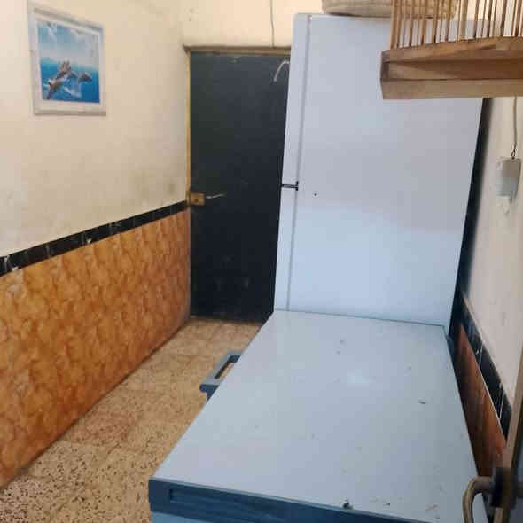 دار زراعي سهم مساحة 120م  يتكون من غرفتين وصاله ومطبخ غربي وصحيات 2  منطقة البراظعية شارع حسينية ابو الجت  أو شارع سنتر نور الزهراء  البيت ركن. يبعد عن الشارع 75 م لاتستفسار  على الرقم *********** البصرة
