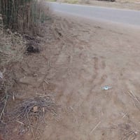 أرض زراعية • سند ٢٥ • ١٩ دونم