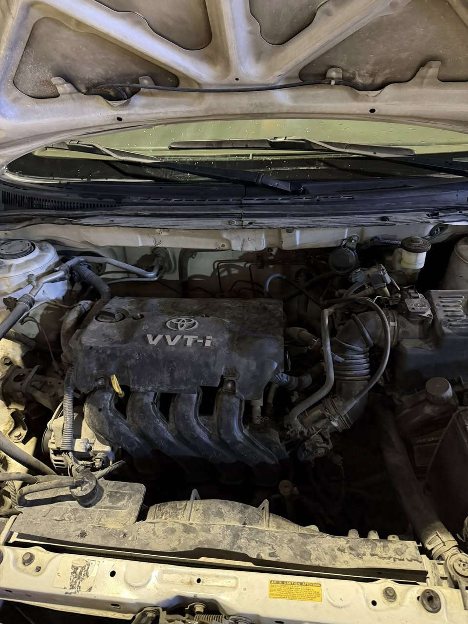 السلام عليكم
كورلا بيكاتشو وارد سعودي 
2006 رقم بغذاد
السعر 78 وبيها مجال 
السيارة بيها جاملغ وبنيد وقبق جنطة وباب 
محرك موجود بل صور نشط جدا اتوقع 1400 لو 1600 الي يعرف يبلغنة موجود صورة 
اوتماتيك محرك كير تبريد خير من الله 
هزة وسنوية جدد 
مكان السيارة المنصور 
***********
