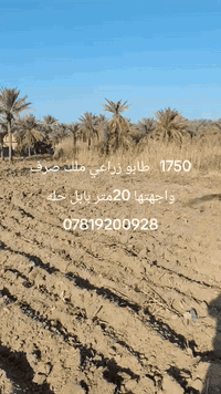 1750متر طابو زراعي مكانها بابل حله شارع الوائلي سعرها 65 مليون مراجعة عقارات عباس الخفاجي مجاور الانوار لتعليم السياقه ***********
