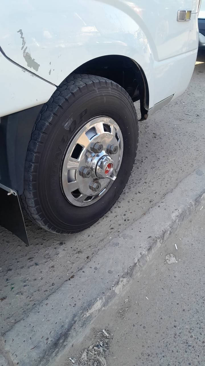 السلام عليكم كبات وشخات لبيع مال فحل الاتصال ***********
