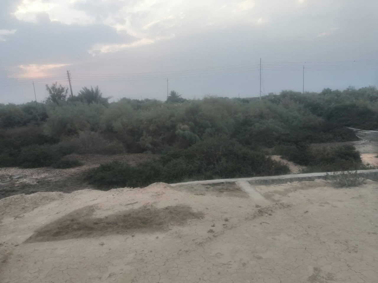 سلام عليكم ورحمة أرض زراعيه مقاطعة 53 بيه مرتسم مساحه 13 دونم سعر دونم 7 مليون وبيه مجال بيه بتلو جاهز لل بنا بيه قطع عدد 2 أرض جاهز حاليا مزرعة منطقت الخنزيري قرب صطرت الخنزيري كهرباء 4 خطوط عل سده بصفه شط مدرسه قربيه عل شارع العام مال المشايه استفسار أكثر اتصال عل رقم *********** أرض شرط لا بيه رطوبه ولا صبخ ☑️
