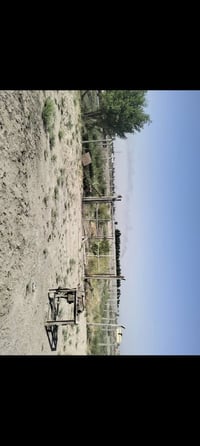 ناصريه • بستان زراعي • ٥٠٠م