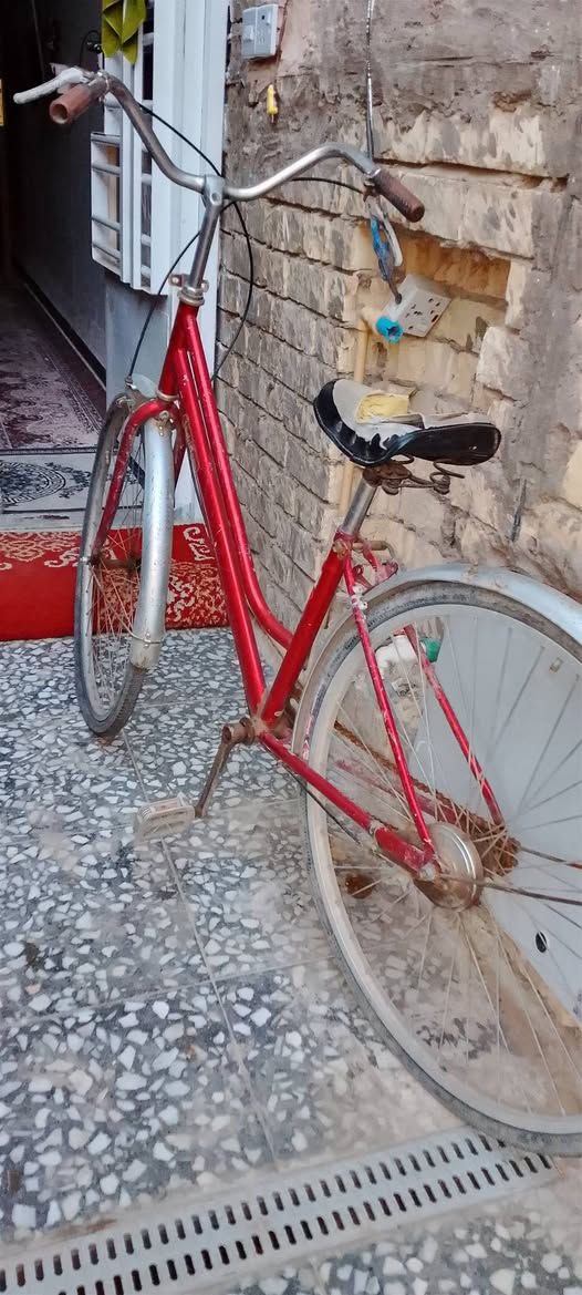 للبيع حجم٢٧ التأثير الامامي بنجر السعر ٥٠


**إذا كنت صاحب هذا الإعلان وتريد حذفه لأي سبب، رجاءا أرسل رسالة إلى الدعم الفني**