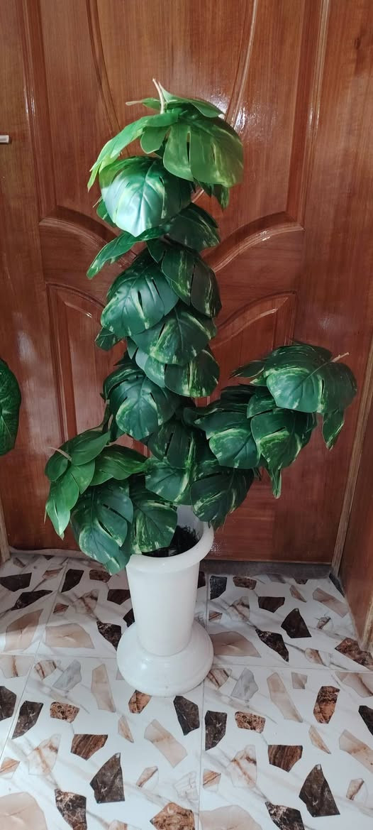 أشجار  خضار وسنادين ورد بأشكال جميله وقياسات مختلفه جمله ومفرد للطلب راسل البيج او الاتصال ب الرقم *********** واتساب نفس الرقم
