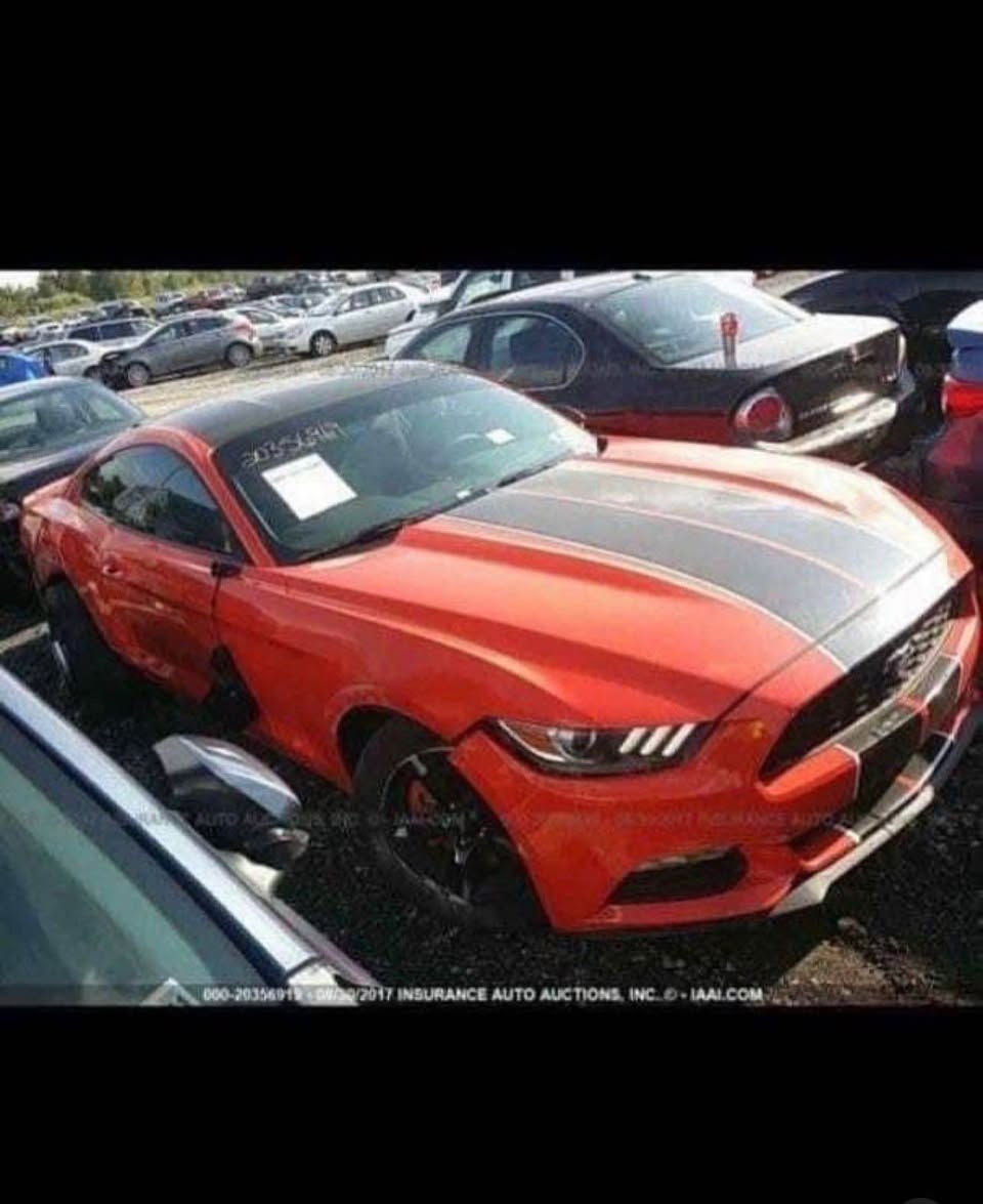 موستنك 
2016
ماشية 95
ايرباك بردة فقط حادثها موجود بالصور
سيارة مناقصها شي حدادية جديدة كير مكينة مكفول وعليها ادامة كاملة 
عنوان بغداد جسر المثنى منطقة شاطئ التاجي 
رقمي 

‏‭0788 436 7846‬ بغداد, العراق
